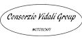 Logo Consorzio Vidali Group